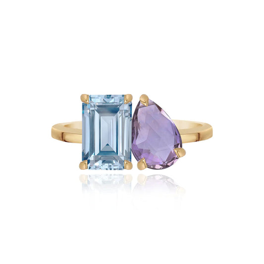 Two-Gemstones Gold Ring un